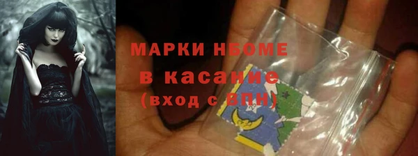 стафф Вязьма